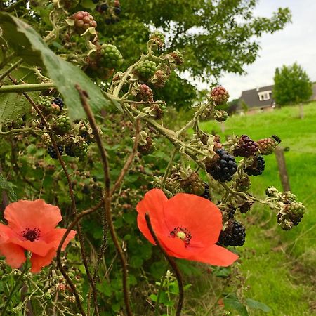 Bed&Breakfast de Bosakker Epse Eksteriør bilde